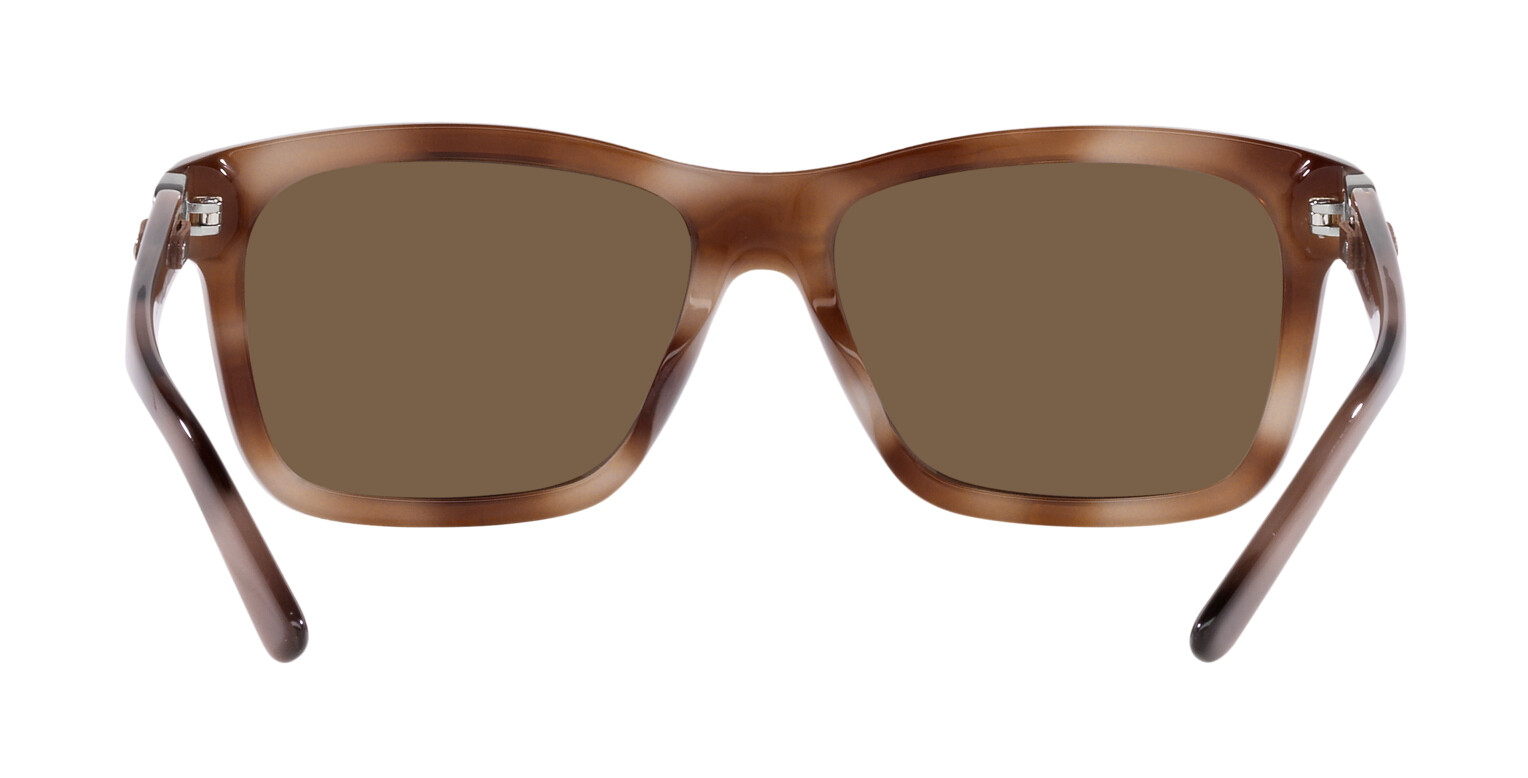 [products.image.zoom] Ralph Lauren 0RL8203QU 602073 Sonnenbrille