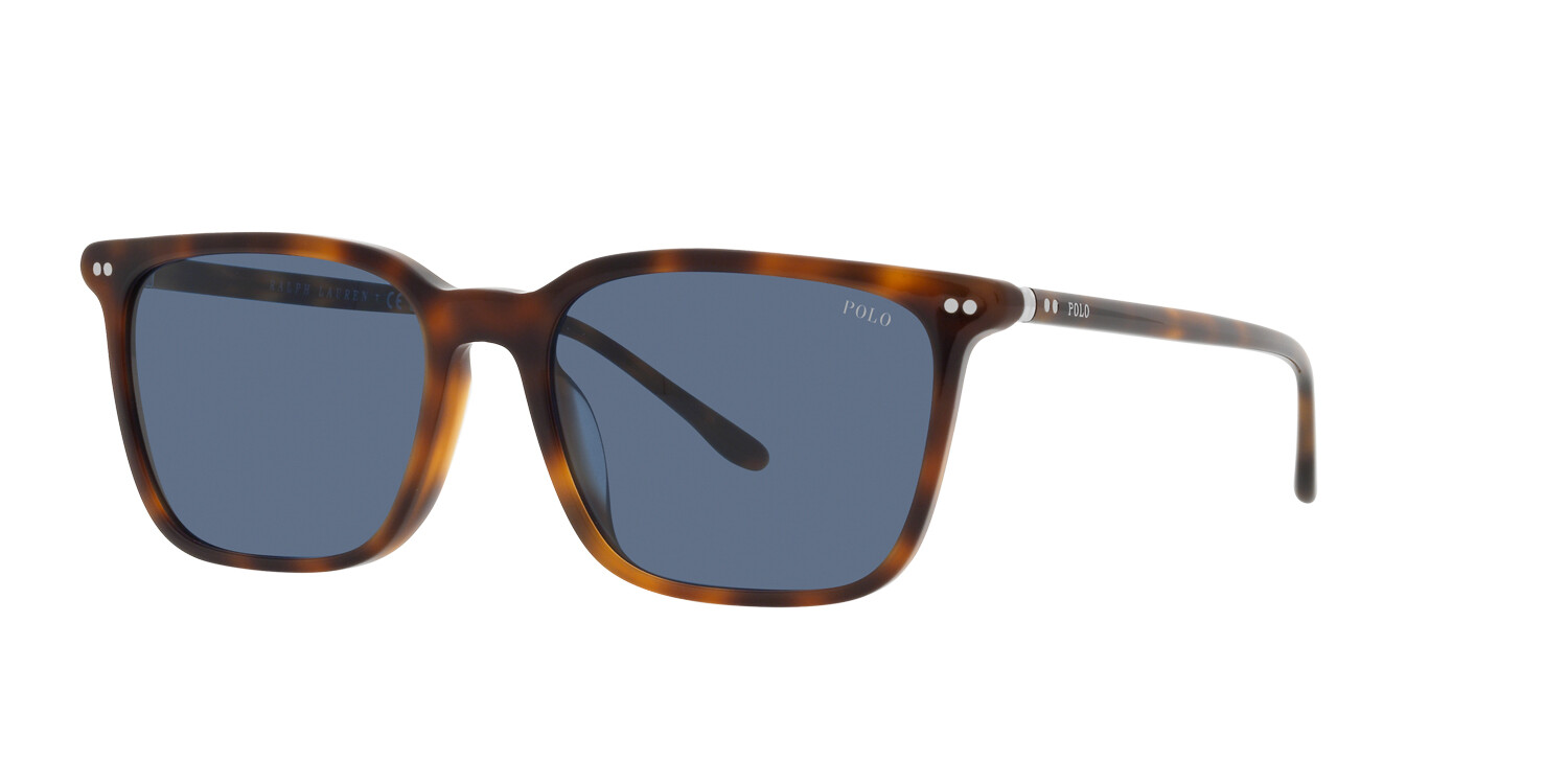 [products.image.angle_left01] Polo Ralph Lauren 0PH4194U 608980 Sonnenbrille