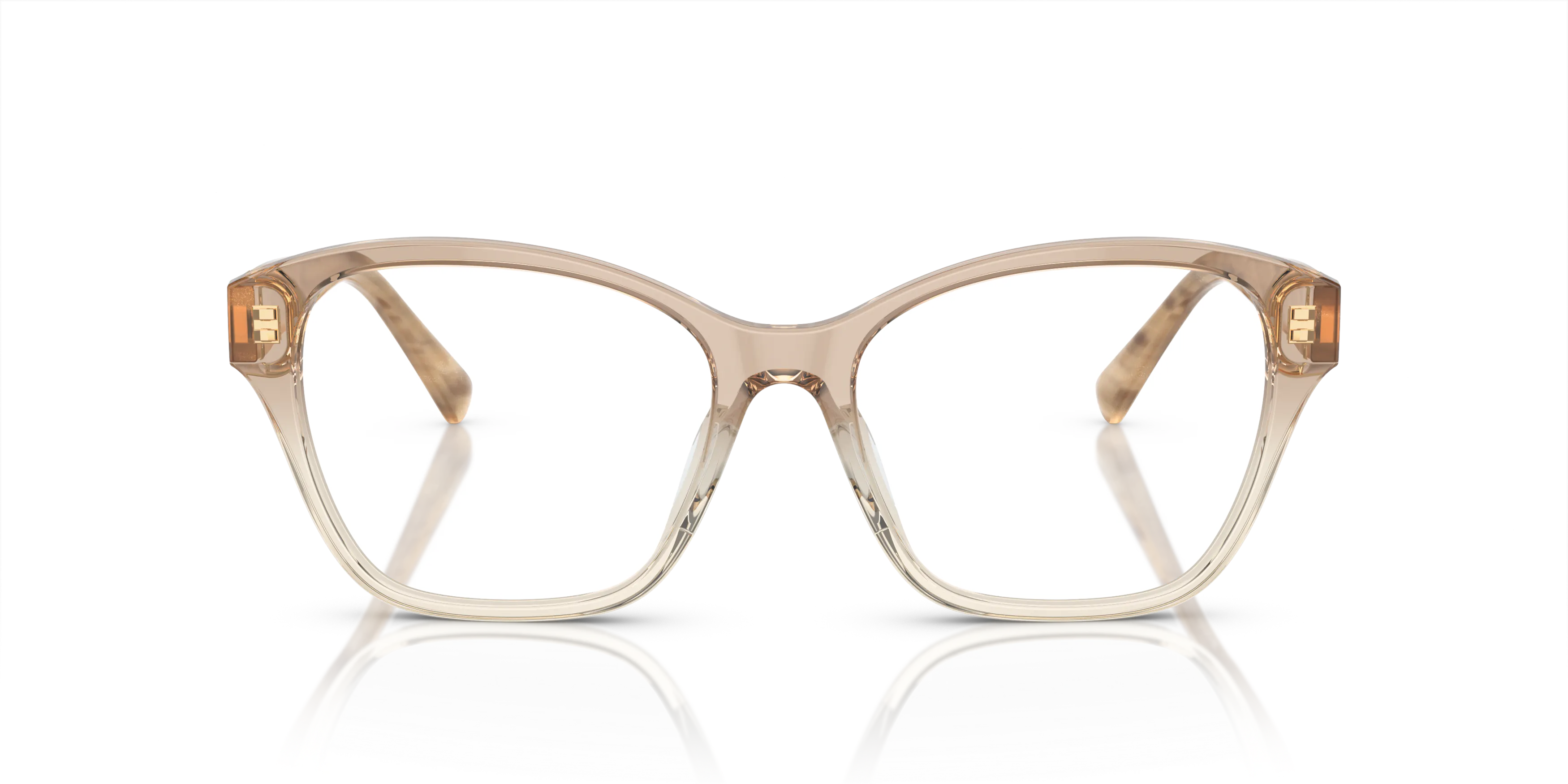 Ralph Lauren 0RL6236U 6111 Brille