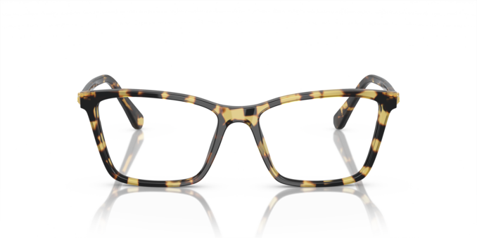 Front Swarovski 0SK2015 1009 Brille Transparent