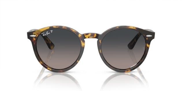 [products.image.front] Ray-Ban LARRY 0RB7680S 1332GL Sonnenbrille