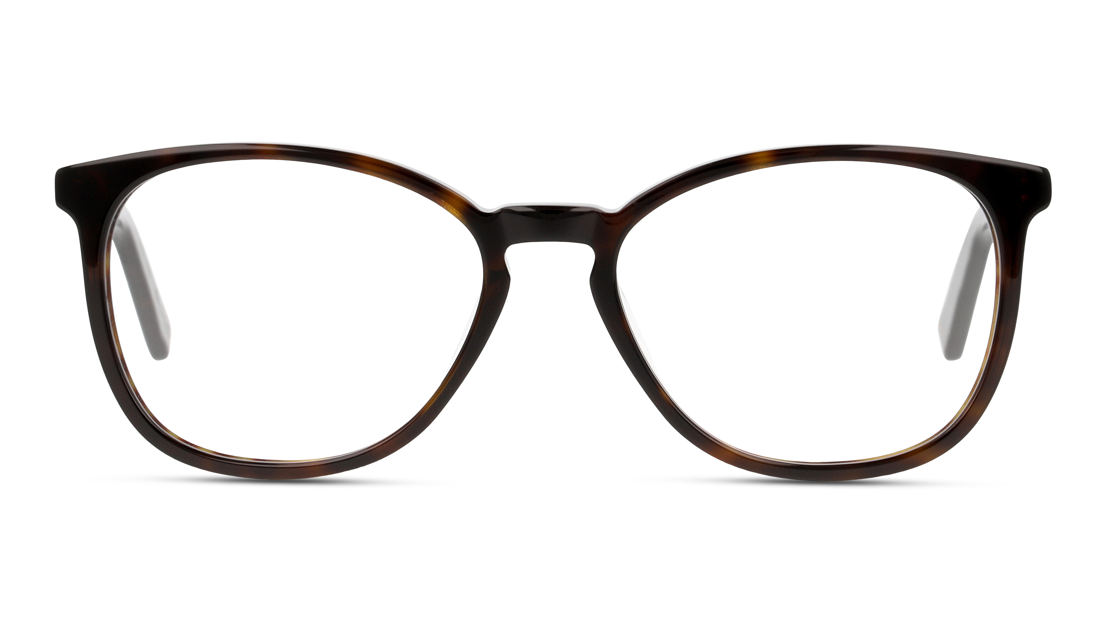 Front DbyD DBOF5035 HH00 Brille Havana