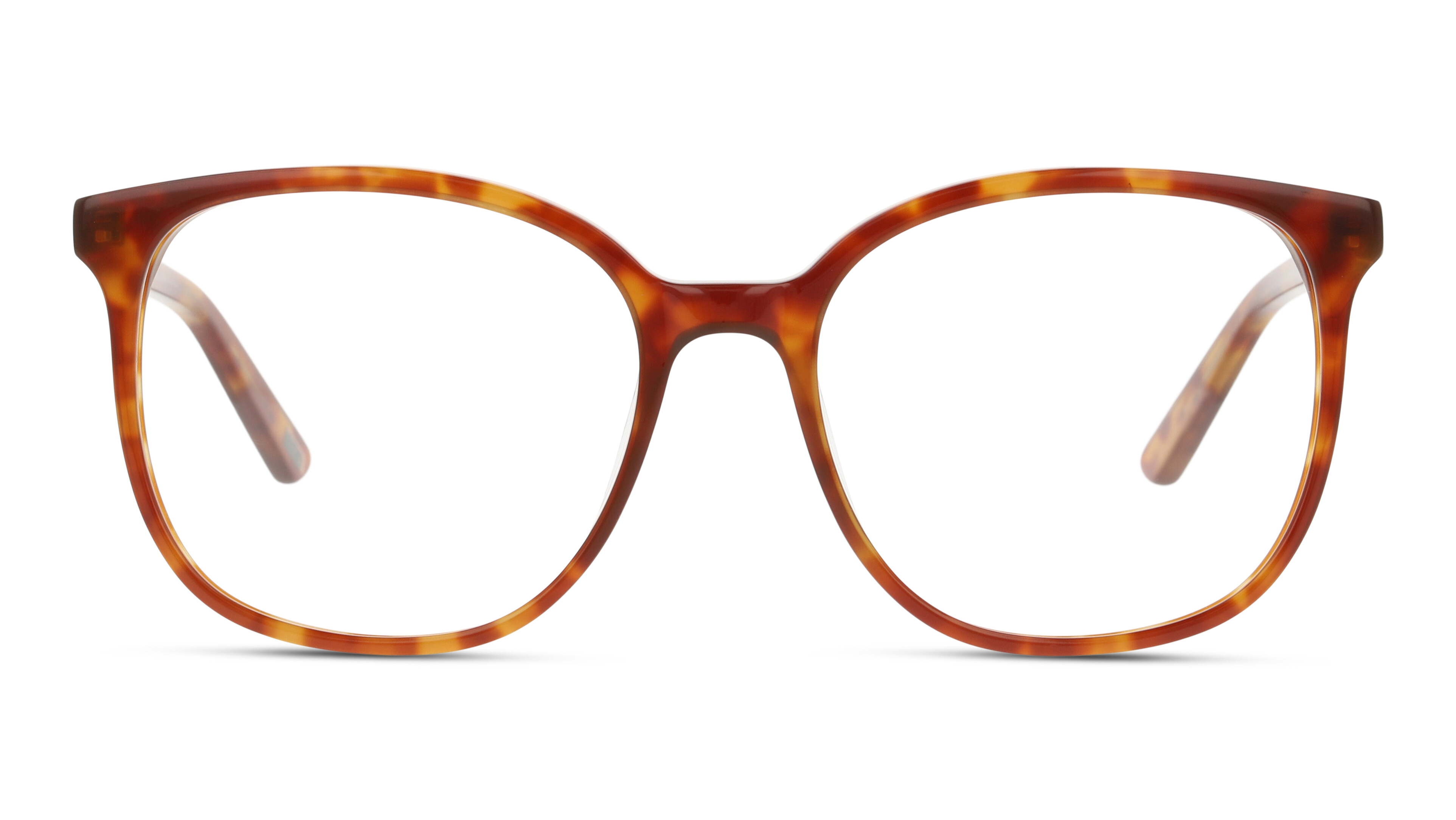 [products.image.front] DbyD DBOF0044 HH00 Brille