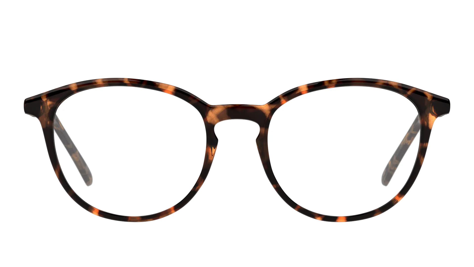 Front, Seen Snof5003 SNOF5003 HH00 Brille