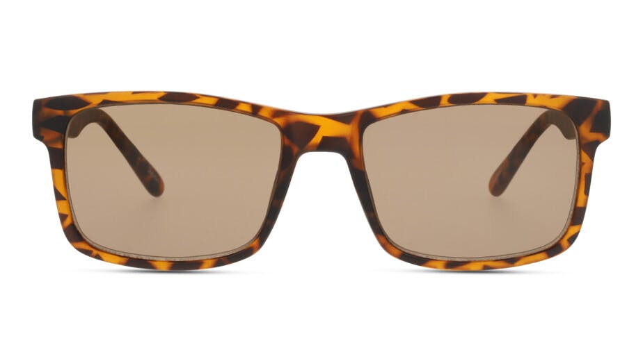 Front, Seen SNSM0011 4402D1 Sonnenbrille
